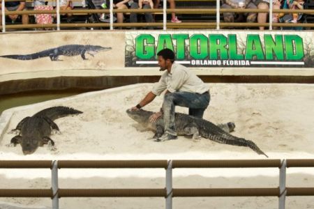 Gatorland